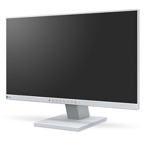 EIZO tfBXvC 21.5^/1920×1080/OC EV2130-GY