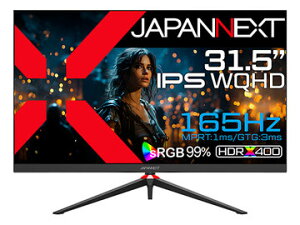 JAPANNEXT �Q�[�~���O�f�B�X�v���C 31.5�^/2560×1440/�u���b�N JN-IPS3152WQHDR165