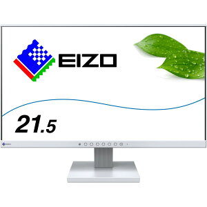 EIZO tfBXvC 21.5^/1920×1080/OC/HD EV2130-HDGY