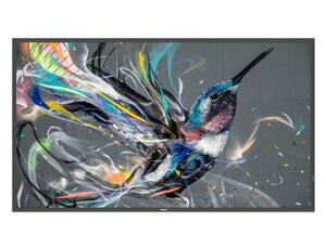 PHILIPS(�f�B�X�v���C) �t���f�B�X�v���C(�T�C�l�[�W) 50�^/Android���� 50BDL3511Q/11