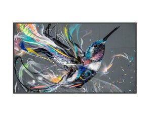 PHILIPS(�f�B�X�v���C) �t���f�B�X�v���C(�T�C�l�[�W) 55�^/Android���� 55BDL3511Q/11