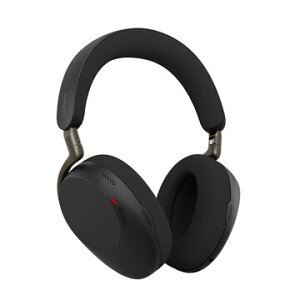 GN�I�[�f�B�I Evolve3 85 MS Link390c Black WLC chrg 38599-999-889