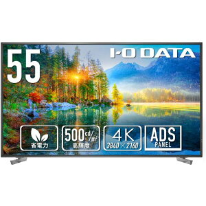 �A�C�E�I�[�E�f�[�^�@�� �t���f�B�X�v���C 55�^/18���ԘA���ғ�500cd/m2 EX-U551D