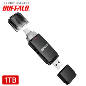 BUUFALO バッファロー USB3.2(Gen2) Type-C/Aコネクター両対応 中低速帯 スティック SSD-SDU3BA/D 250GB/500GB/1TB/2TB