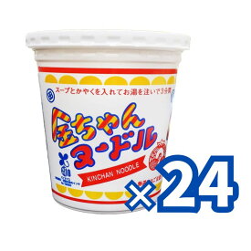 徳島製粉 金ちゃんヌードル （85g×12個入）2ケース