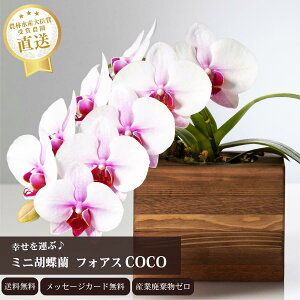 yabZ[WJ[hz~jӒ CeAv[g  Mtg _IWiSDGsӒ