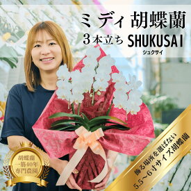＼選べる2色／ ミディ胡蝶蘭 3本立ち 中～中大輪　20～30輪　SHUKUSAI(シュクサイ)　お祝い 開店祝い 就任祝い 長寿祝い 移転 開業 プレゼント 生花 各種お祝いギフトやお供えに【北海道・沖縄・離島へのお届け不可】