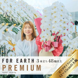 ＼無料回収でごみゼロ／ 胡蝶蘭 大輪 定番3本立ち 48輪以上（つぼみ込）開店　開業 移転　就任　生花 各種お祝いギフトやお供えに【北海道・沖縄・離島へのお届け不可】