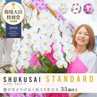 ＼選べる3色／ 胡蝶蘭 大輪 3本立ち 33輪以上（つぼみ込）開店祝い 就任祝い 移転 開業 プレゼント 生花 …