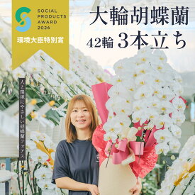 ＼無料回収でごみゼロ／ 胡蝶蘭 定番の3本立ち 42輪以上（つぼみ込）開店 開業 移転 就任 生花 各種お祝いギフトやお供えに【北海道・沖縄・離島へのお届け不可】