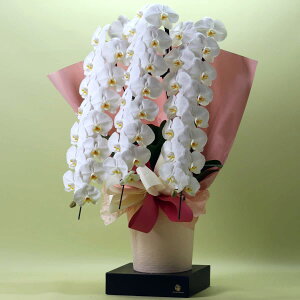 yĎDbsOzӒ  3{ 39`48ֈȏiڂݍjJXjEv[g  Mtg _IWiSDGsӒ