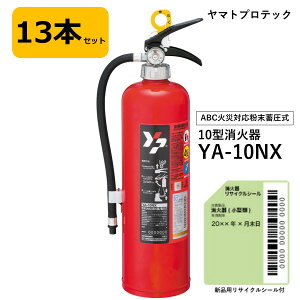 y2025NzP13{UPI Ί 10^ }g YA-10NX 13{Zbg ~ ABC΍ }gvebN VipTCNV[t