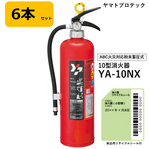y2025NzP14{UPI Ί 10^ }g YA-10NX 6{Zbg ~ ABC΍ }gvebN VipTCNV[t