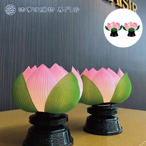 ~ V~ Ւd  O @ ؘ@ꓔڂd