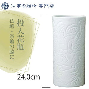 ~ V~ Ւd  ԕr  ԕr d