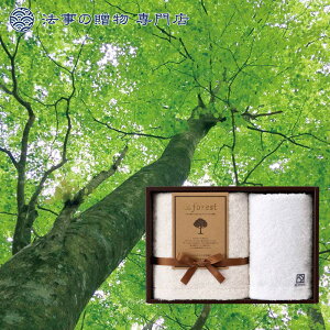 @ TԂ o Ԃ i ^I Zbg 2500~\Z &forest l\  Au e{