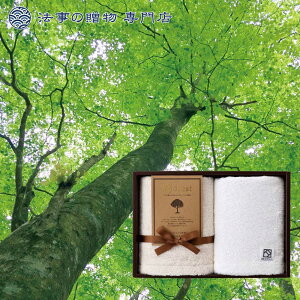 @ TԂ o Ԃ i ^I Zbg 3000~\Z &forest l\  Au e{