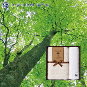 @ TԂ o Ԃ i ^I Zbg 4000~\Z &forest l\  Au e{