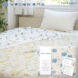 @ TԂ o Ԃ i Q Zbg 8000~\Z Taoyaka ldDK[[n[tPbgiu[j l\  Au e{