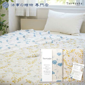 @ TԂ o Ԃ i Q Zbg 10000~ȏ z Taoyaka ldDK[[n[tPbg2P l\  Au e{
