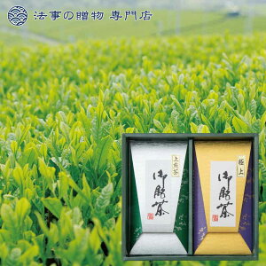 @ TԂ o Ԃ i  { Β 2000~\Z B̖Mtg(ɏ㒃×1A×1) l\  Au e{