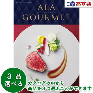 y 11܂ł̒zOJ^OMtg AO  AEEO ( ALA GOURMET ) I[vn[g 3iIׂgv`CX 93000~R[X lC Mtg j oYj 