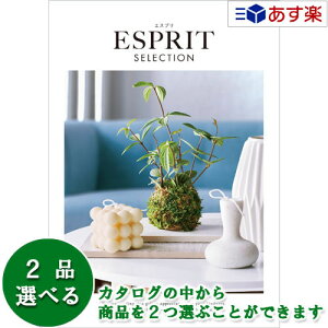 y 11܂ł̒zJ^OMtg  GXv ( ESPRIT ) sA 2iIׂ_u`CX 6600~R[X lC Mtg j j oYj Vzj j oYj Vzj e