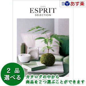 y 11܂ł̒zJ^OMtg  GXv ( ESPRIT ) GKX 2iIׂ_u`CX 9600~R[X lC Mtg j oYj Vzj j oYj Vzj e