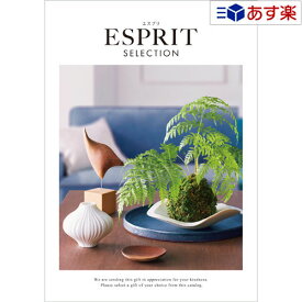 【当日発送 11時までの注文分】カタログギフト ｢ エスプリ ( ESPRIT )｣ カジュアル 5800円コース 人気 ギフト 御祝 結婚祝 出産祝 新築祝 結婚内祝 出産内祝 新築内祝 各種内祝 快気祝 法事引出物 香典返し 粗品 景品 記念品 歳祝