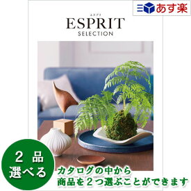 【 あす楽 土日・祝日対応 】カタログギフト ｢ エスプリ ( ESPRIT )｣ カジュアル 2品選べるダブルチョイス 11600円コース 人気 ギフト 御祝 結婚祝 出産祝 新築祝 結婚内祝 出産内祝 新築内祝 各種内祝 快気祝 法事引出物 香典返し 粗品 記念品 歳祝