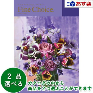 y 11܂ł̒zǂȗprłpłJ^O n[jbN J^OMtg  t@C`CX ( FINE CHOICE ) _Ch 2iIׂ_u`CX 21600~R[X l