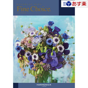 y 11܂ł̒zǂȗprłpłJ^O n[jbN J^OMtg  t@C`CX ( FINE CHOICE ) Xsl 25800~R[X lC Mtg uC_ j 