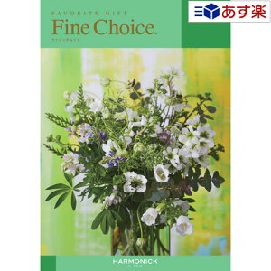 y 11܂ł̒zǂȗprłpłJ^O n[jbN J^OMtg  t@C`CX ( FINE CHOICE ) [Xg[ 2800~R[X lC Mtg uC_ 