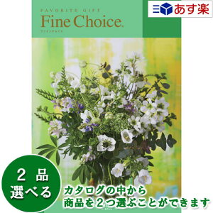 y 11܂ł̒zǂȗprłpłJ^O n[jbN J^OMtg  t@C`CX ( FINE CHOICE ) [Xg[ 2iIׂ_u`CX 5600~R[X 