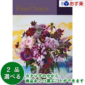 y 11܂ł̒zǂȗprłpłJ^O n[jbN J^OMtg  t@C`CX ( FINE CHOICE ) Gh 2iIׂ_u`CX 101600~R[X lC