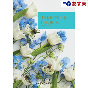 y 11܂ł̒zmEuC_J^OMtg  eCNA`CX ( TAKE YOUR CHOICE ) t[WA 2800~R[X lC Mtg uC_ j j j o 