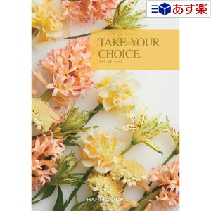 y 11܂ł̒zmEuC_J^OMtg  eCNA`CX ( TAKE YOUR CHOICE ) A}X 3300~R[X lC Mtg uC_ j j j o 