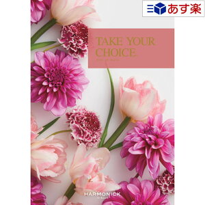 y 11܂ł̒zmEuC_J^OMtg  eCNA`CX ( TAKE YOUR CHOICE ) [Y 4800~R[X lC Mtg uC_ j j j o e