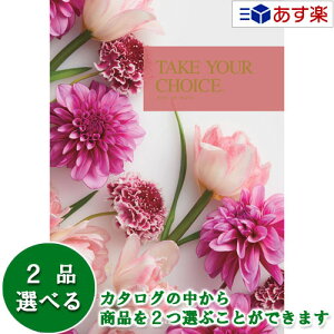 y 11܂ł̒zmEuC_J^OMtg  eCNA`CX ( TAKE YOUR CHOICE ) [Y 2iIׂ_u`CX 9600~R[X lC Mtg uC_ j j 