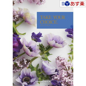 y 11܂ł̒zmEuC_J^OMtg  eCNA`CX ( TAKE YOUR CHOICE ) |s[ 8800~R[X lC Mtg uC_ j j j o e