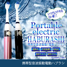 【アウトレット/メール便で送料無料】音波振動 電動歯ブラシ