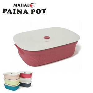 y2ȏőzۑe PAINAPOT pCi|bg 4.3L