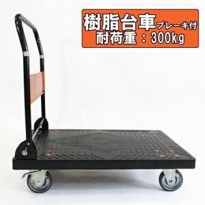 {@ƖpÉԁ@u[Lt@300kg@܂肽݁@yʁEÉE^Cv艟/^/vX`bN/zp/z/pi/