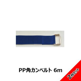 【3900円以上購入で送料無料】 PP角カンベルト 6.0m 角カン付ベルト 2本セット 簡単脱着 持ち手用ベルト DY-60-2
