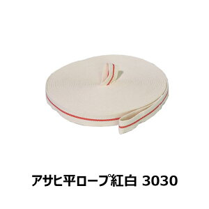 y3900~ȏwőz ATq[vg 3030 [[vH HK-3030