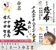 ディズニー命名書 有名書家の命名書　今ならマンスリーカード（月齢カード）進呈中！　 A4 メール便無料…