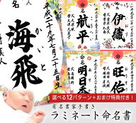 有名書家の命名書　今ならマンスリーカード（月齢カード）進呈中！　おしゃれな命名用紙12種類 A4 メール…