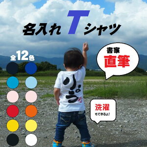 E1̖TVcy1珑ƂMzoYjav[gȂǂ̌lł̗p͂A`[T[NAX^btԂł̖TVc낤I