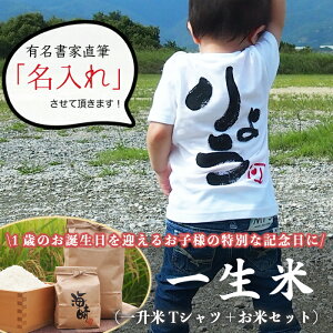 ベビー リュック 名前 食品の人気商品 通販 価格比較 価格 Com ベビー リュック 名前 食品の人気商品 通販 価格比較 価格 Com