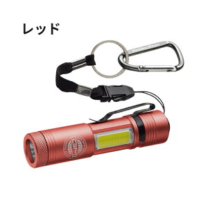 S[f~[ GM UVCg drʔ Golden Mean GM UV Light ނ ނ ނ蓹 tBbVO ANZT[ Cg Ɩ UV LED AEghA Lv hЃObY